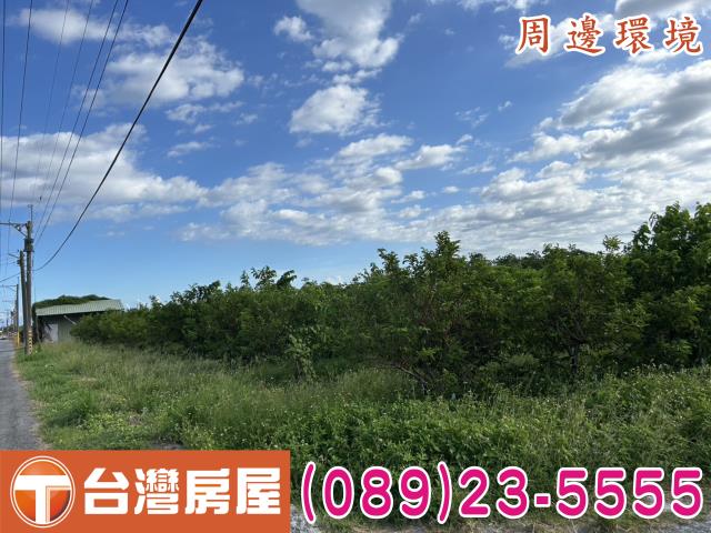 台東市農地-6