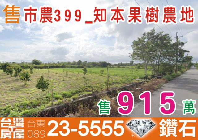 台東市農地-1