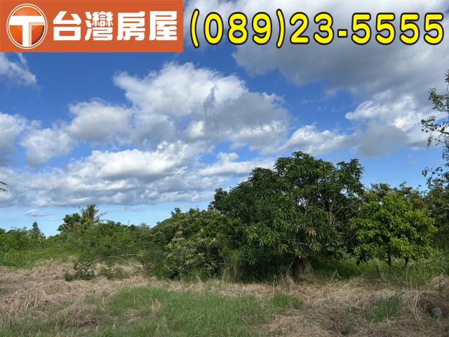 台東市農地-6