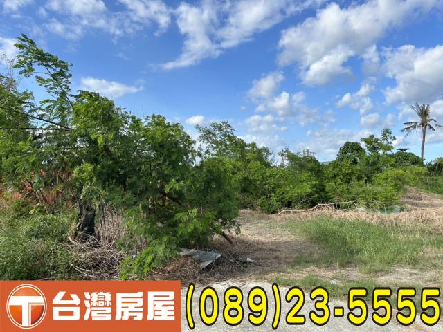 台東市農地-5