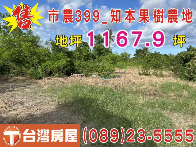 台東市農地-4