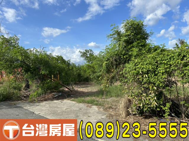 台東市農地-3