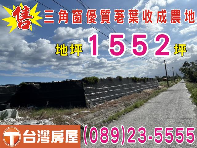 台東市農地-1