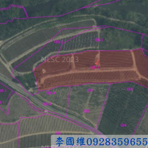 民雄農地法拍-3