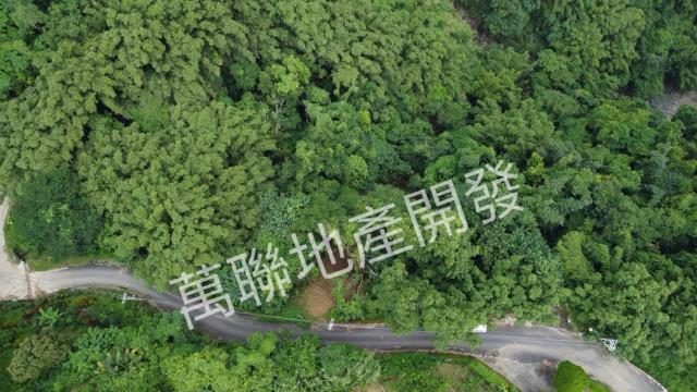 台中山坡地保育區林業-9