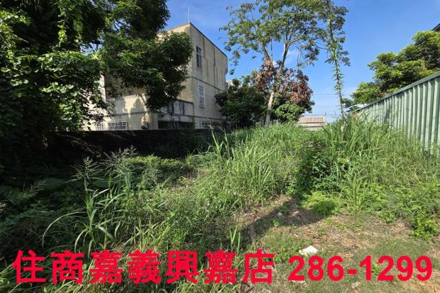 嘉義建地-5
