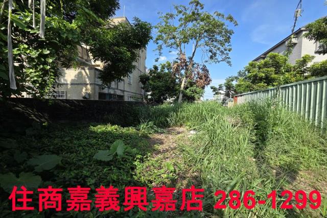 嘉義建地-6