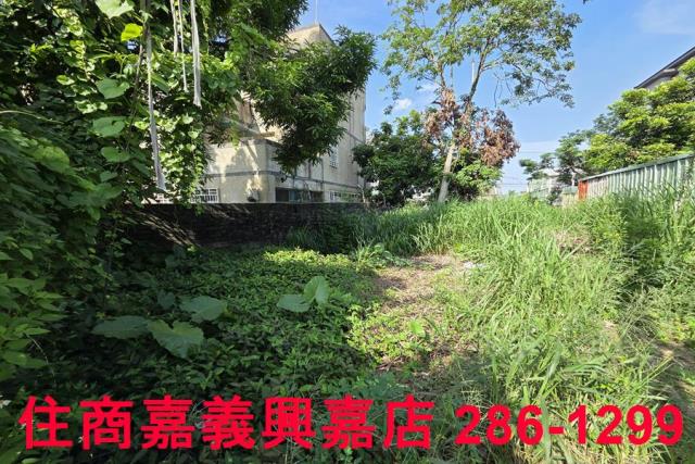嘉義建地-7