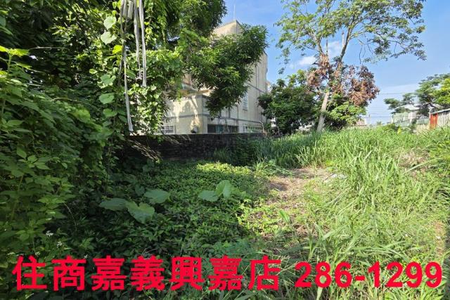 嘉義建地-8