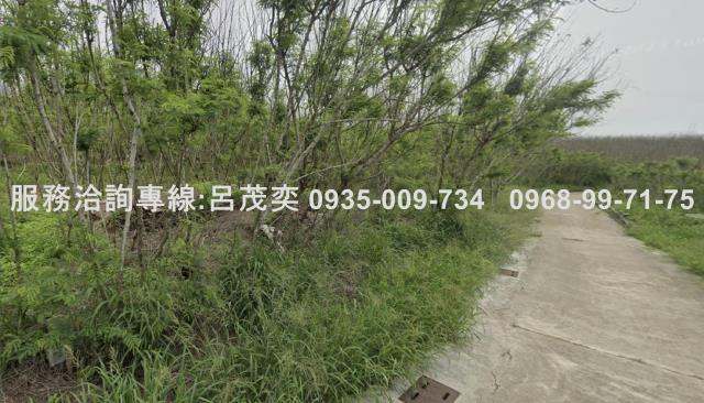 澎湖農地-1