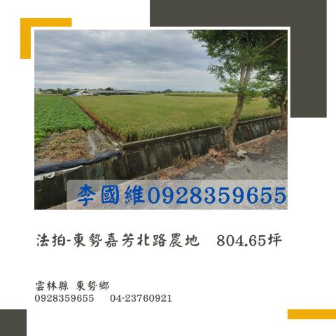 雲林東勢鄉農地法拍-1