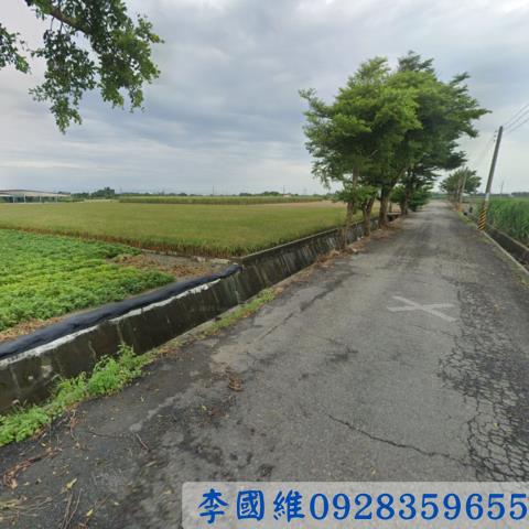 雲林東勢鄉農地法拍-2