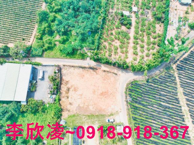 東區農地-9