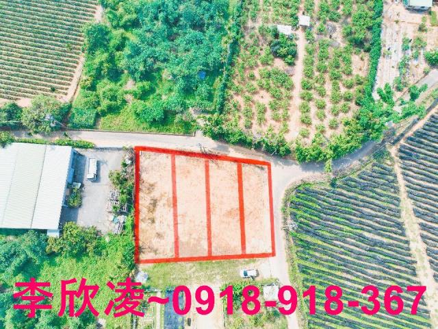 東區農地-1