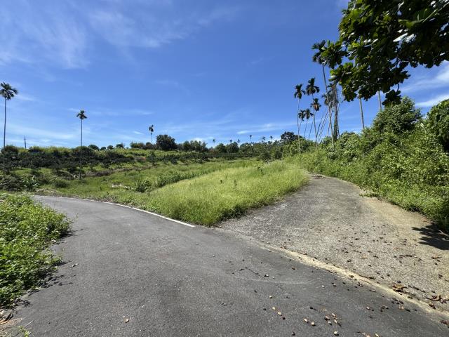 中寮山坡地-1