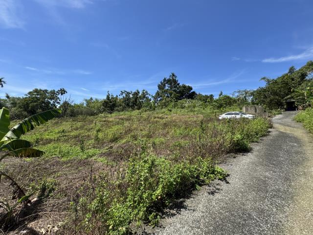 中寮山坡地-4