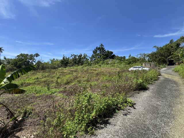 中寮山坡地-5