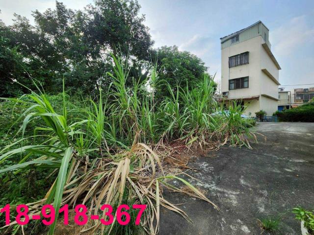 嘉義建地-8