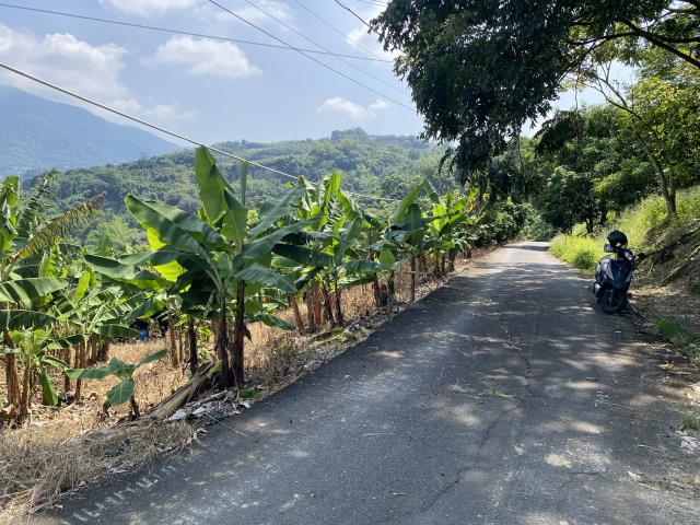 中寮農地-2