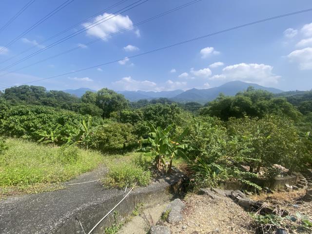 中寮農地-2