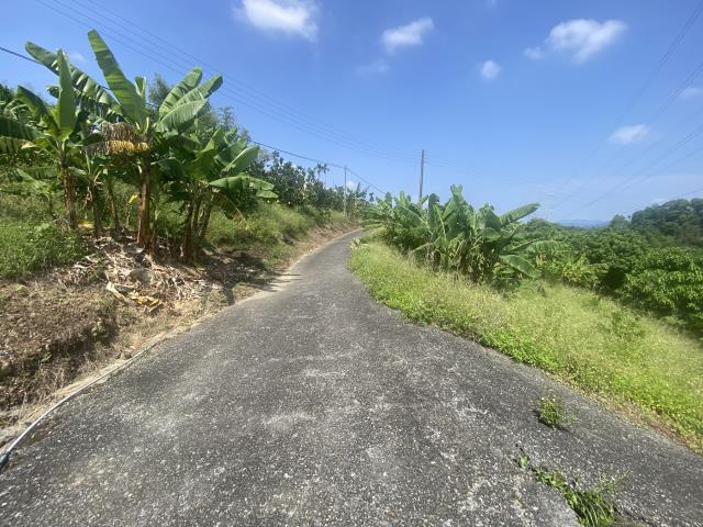 中寮農地-3
