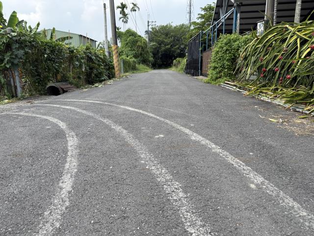 竹田農地-4