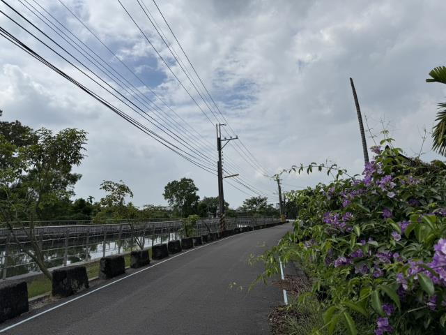 竹田農地-1