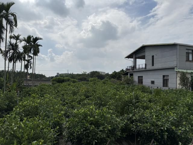 竹田農地-2