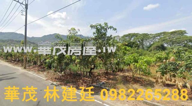 南化農地法拍-2