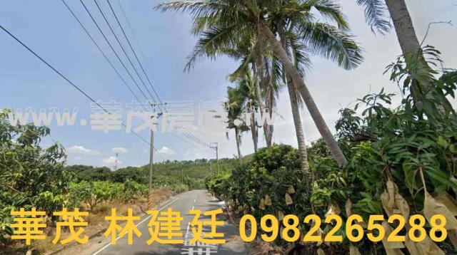 南化拍賣農地-1