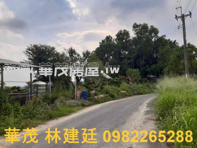 左鎮拍賣農地-2