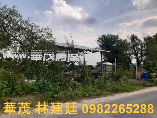 左鎮拍賣農地-3