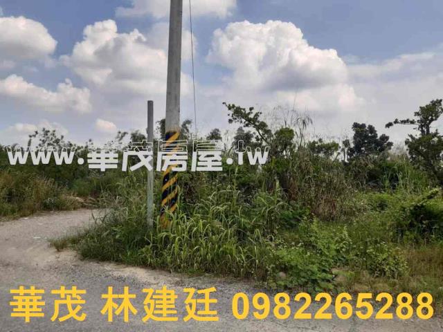 左鎮拍賣農地-4