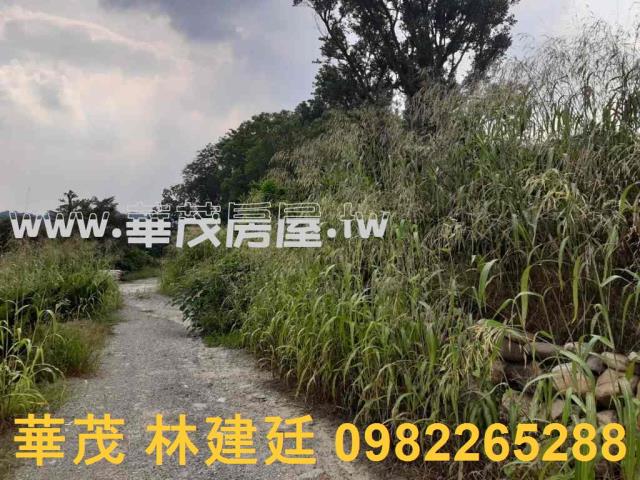 左鎮拍賣農地-6