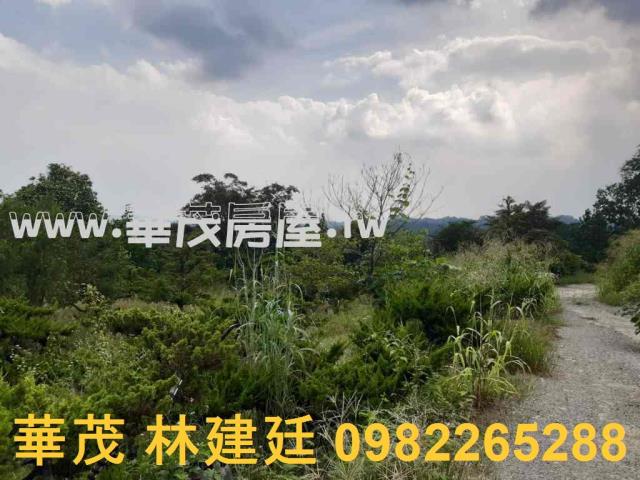 左鎮拍賣農地-7