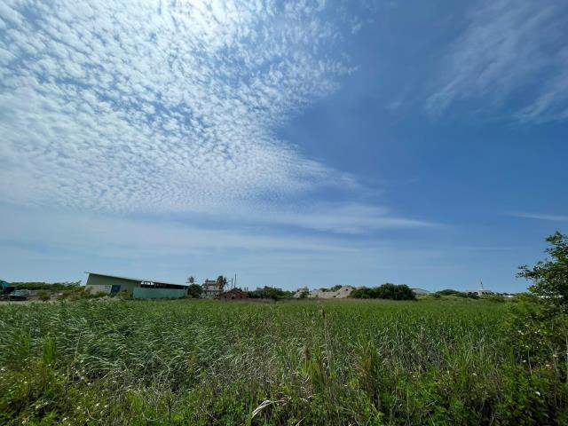口湖農地-5