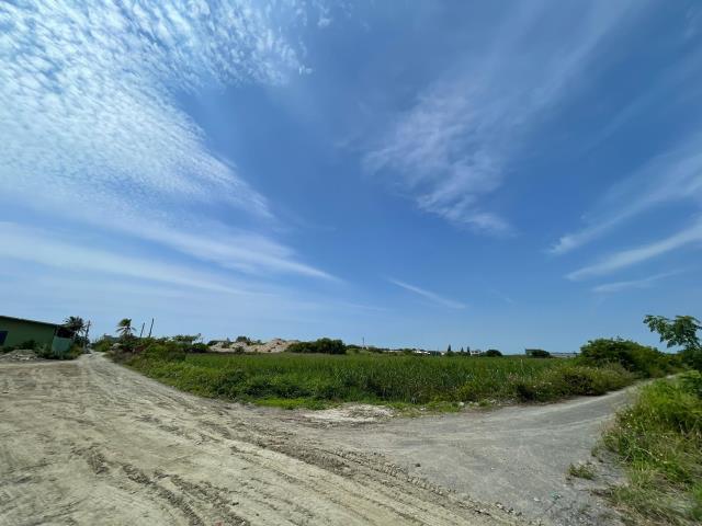 口湖農地-6