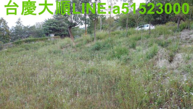 新埔農地-11