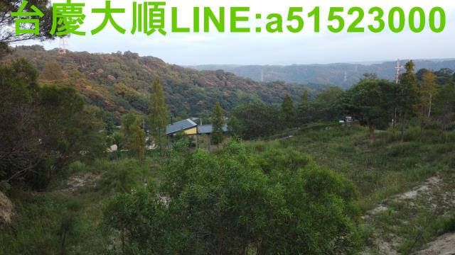 新埔農地-9
