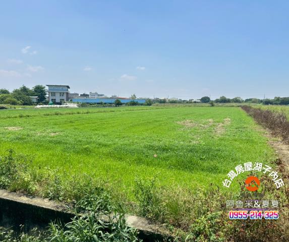 義竹農地-2