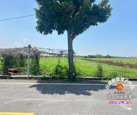 義竹農地-4