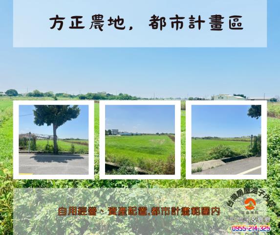 義竹農地-5