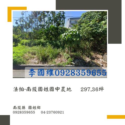 南投法拍農地-1