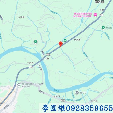 南投法拍農地-4