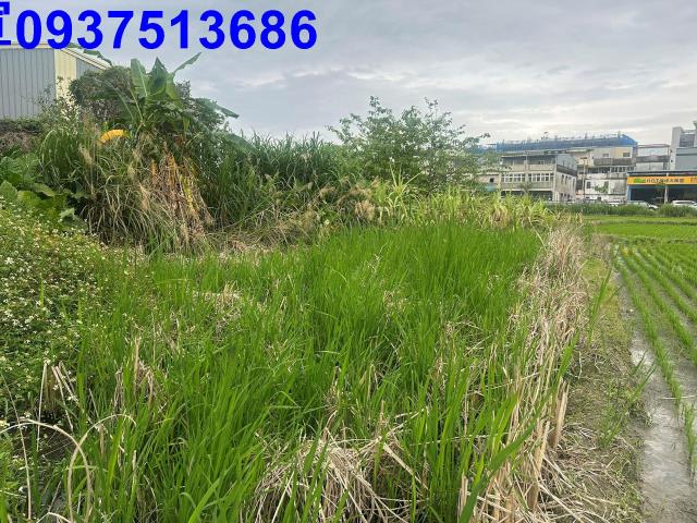 宜蘭宜蘭市道路地-6