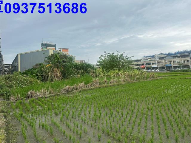 宜蘭宜蘭市道路地-8