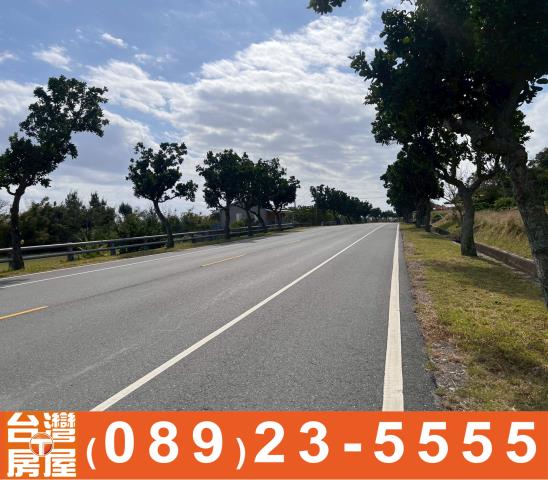 台東成功農地-9