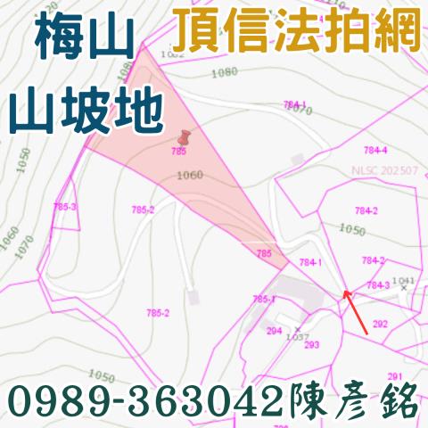 嘉義梅山農地法拍-3