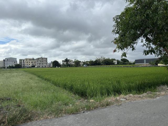 大雅農地-1