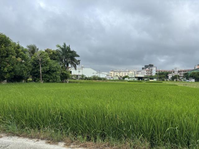 大雅農地-5